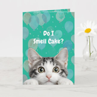 Do I Smell Cake Cute kitten Birthday Card Kaart