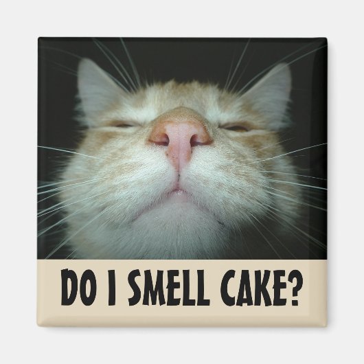 DO I SMELL CAKE? FUNNY ORANGE CAT MAGNETS (Devant)