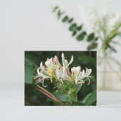 Do-it-yourself Carte postale jaune blanc (Debout devant)