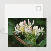 Do-it-yourself Carte postale jaune blanc (Devant / Derrière)