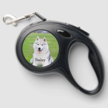 do-it-yourself laisse de chien rétractable | Photo