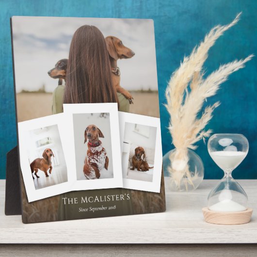 do-it-yourself Pet Four Photo Collage Plaque (Côté)