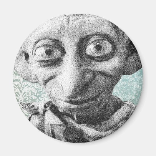 Dobby 4 magneet (Voorkant)