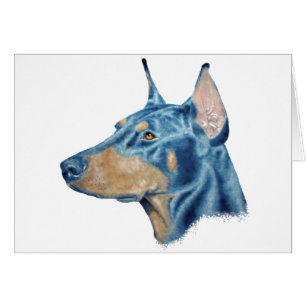 Doberman