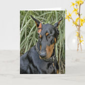 Doberman Butterfly Surprise Kaart (Gele Bloem)