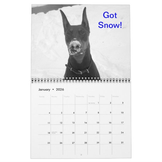 Doberman Calendar Kalender (Jan 2026)