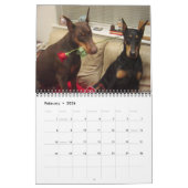 Doberman Calendar Kalender (Feb 2026)