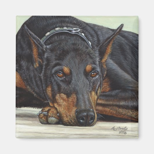 Doberman Dog aimant (Devant)