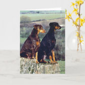 Doberman Dog Portrait Blank Wenskaart Kaart (Gele Bloem)