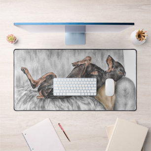 Doberman drôle sur Sofa