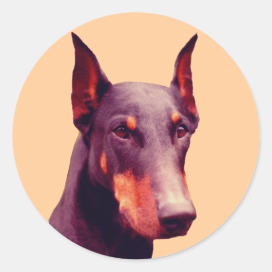 Doberman Face Dog Ronde Sticker (Voorkant)