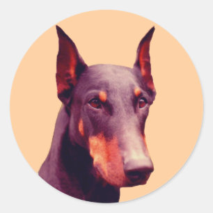 Doberman Face Dog Ronde Sticker