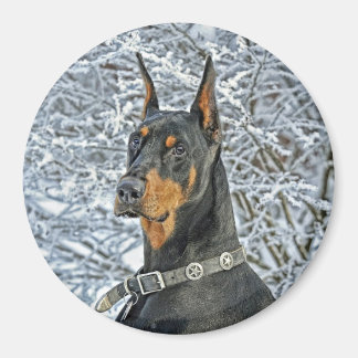 Doberman Fosty Day Magneet
