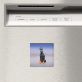 Doberman hond zitten op het strand magneet (Insitu (Vaatwasser))