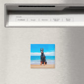 Doberman hond zitten op het strand magneet (Insitu (Vaatwasser))