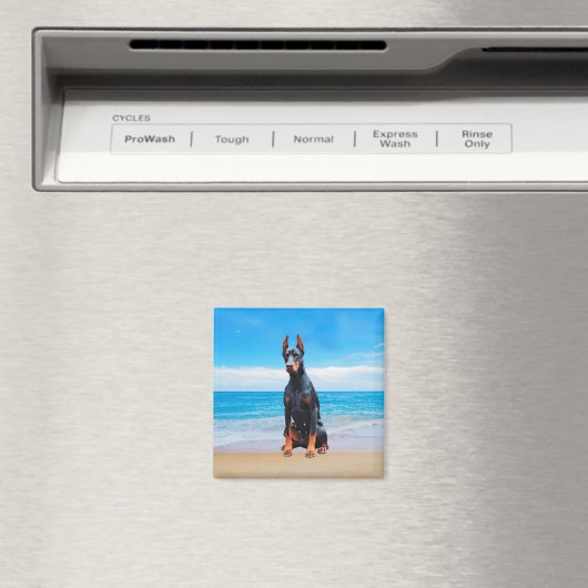 Doberman hond zitten op het strand magneet (Insitu (Vaatwasser))