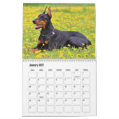 Doberman hondenkalender kalender (Jan 2027)