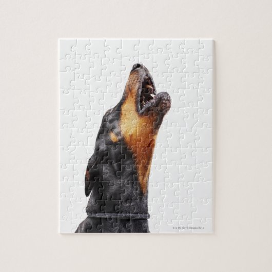 Doberman howling legpuzzel (Verticaal)