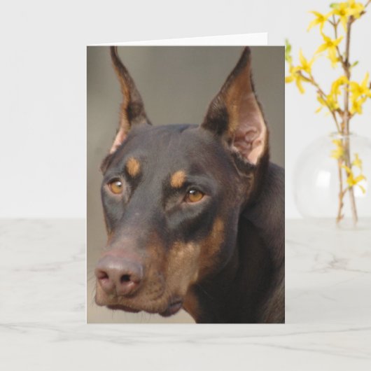 Doberman Kaart (Gele Bloem)