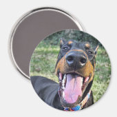 Doberman lachend magneet (Voorkant / Achterkant)