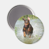 Doberman Magnet (Recto/Verso)