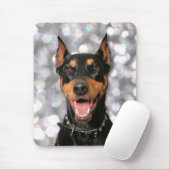 Doberman - Megyan Muismat (Met muis)