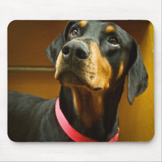 Doberman Mousepad Muismat