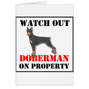 doberman-on property.png