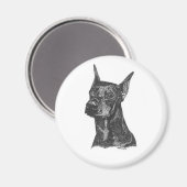 Doberman Pincher Magnet Magneet (Voorkant / Achterkant)