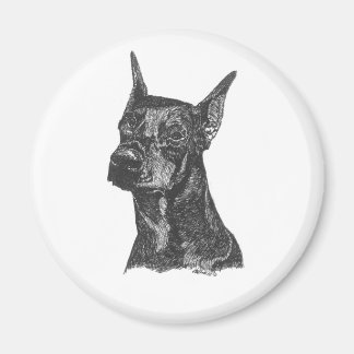 Doberman Pincher Magnet Magneet