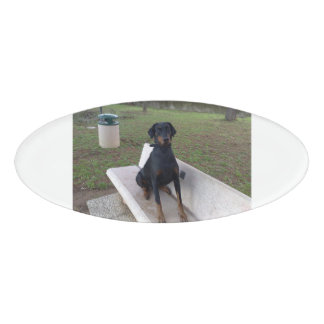 doberman pincher zittend naambadge