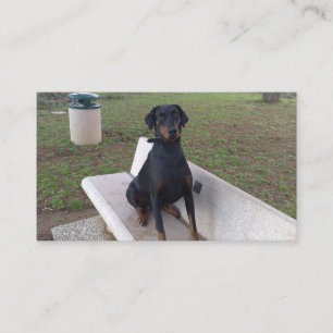 doberman pincher zittend visitekaartje