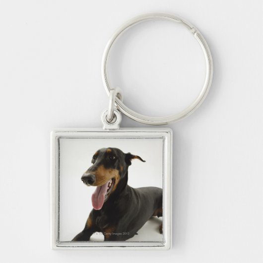 Doberman Pinscher 2 Sleutelhanger (Voorkant)