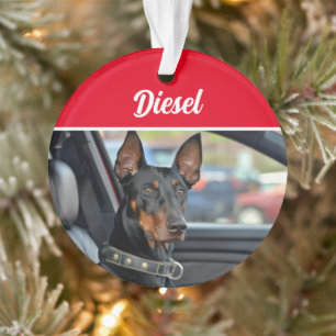 Doberman Pinscher avec nom et photo Noël