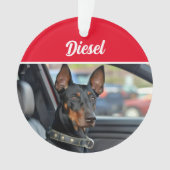 Doberman Pinscher avec nom et photo Noël (devant)