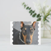 Doberman Pinscher Briefkaart (Staand voorkant)