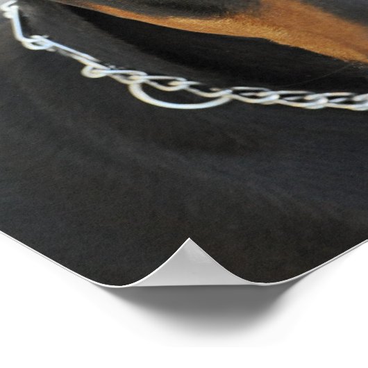 Doberman Pinscher Dog Print (Hoek)