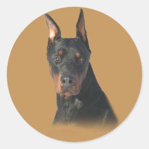 Doberman Pinscher Geweldige Sticker