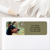 Doberman Pinscher in de Bossen Etiket (Insitu)