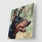 Doberman Pinscher in de Bossen Vierkante Klok (Hoek)