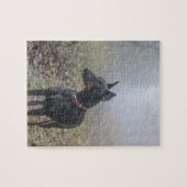 Doberman Pinscher Legpuzzel (Horizontaal)