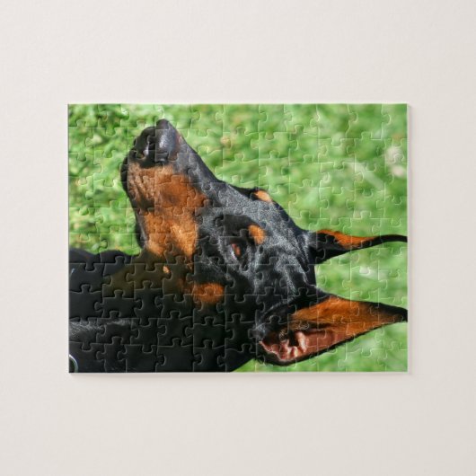 Doberman Pinscher Legpuzzel (Horizontaal)