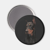 Doberman Pinscher Magneet (Voorkant / Achterkant)