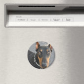 Doberman Pinscher Magnet Magneet (Insitu (Vaatwasser))