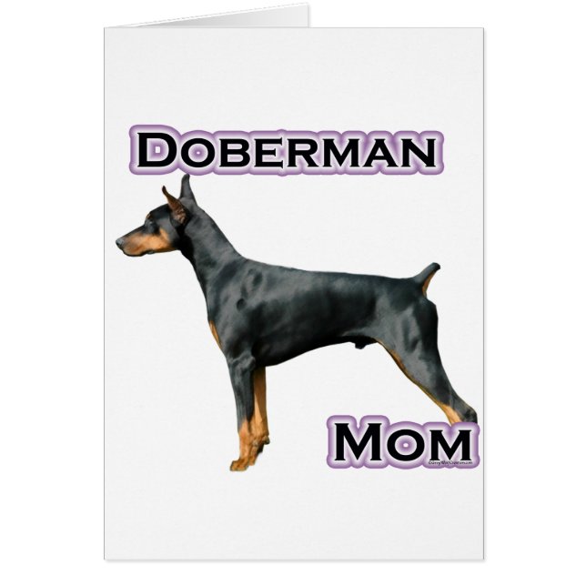 Doberman Pinscher Moeder 4 (Voorkant)
