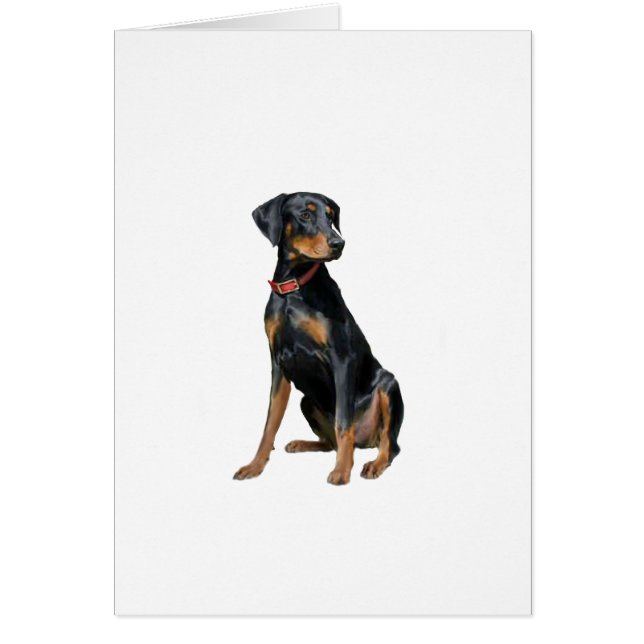 Doberman Pinscher (natuurlijk) (Voorkant)