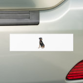 Doberman Pinscher (natuurlijk) Bumpersticker (Op auto)