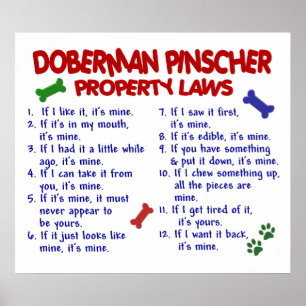 DOBERMAN PINSCHER PL2 POSTER