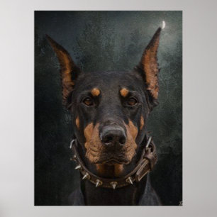 Doberman Pinscher  Poster