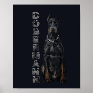 Doberman Pinscher Poster
